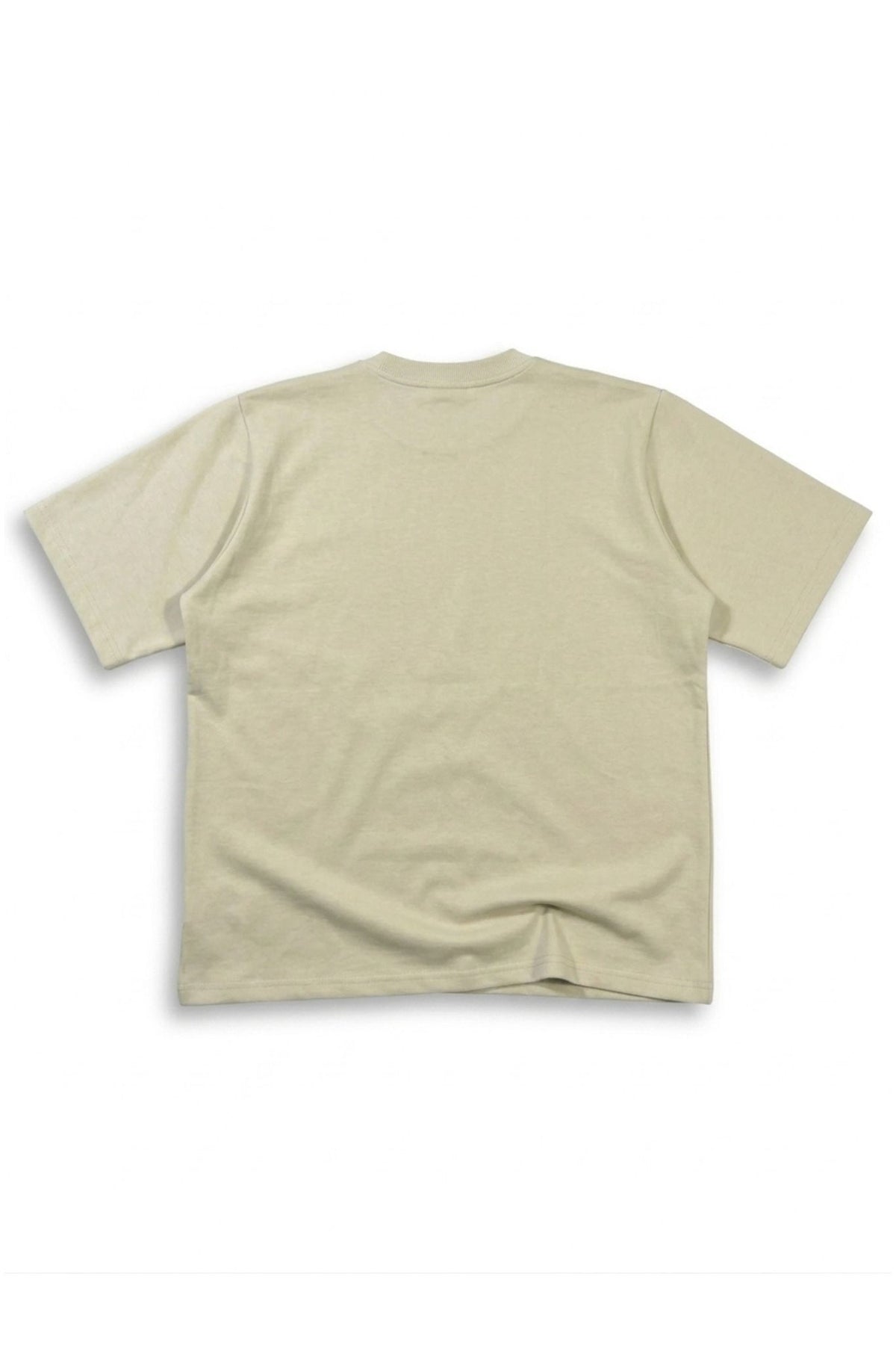 Camiseta Top Premium Semi Oversize Alto Gramaje Verde Claro